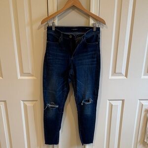 Banana Republic Dark Blue Distressed Skinny Jeans